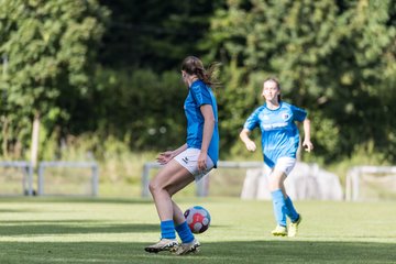Bild 122 - wBJ VfL Pinneberg - Komet Blankenese : Ergebnis: 2:2